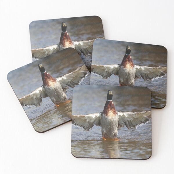 Item preview, Mallard flap designed and sold by GreyFeatherPhot.