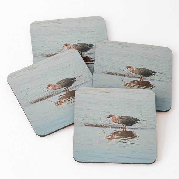 Item preview, Breakfast for the Reddish Egret designed and sold by Michiale.