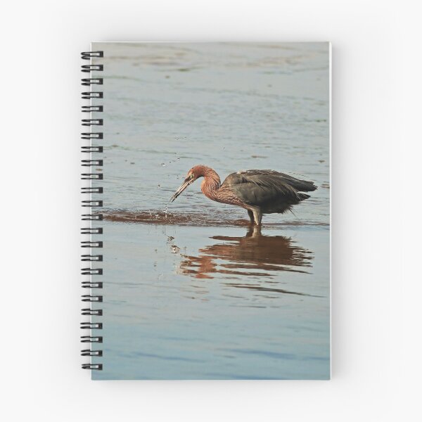 Item preview, Breakfast for the Reddish Egret designed and sold by Michiale.