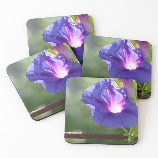 Item preview, Back lit bloom designed and sold by Paul Pasco.