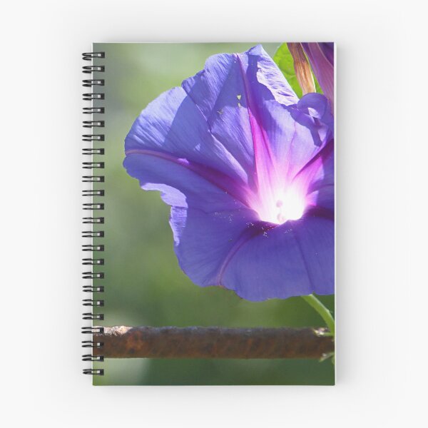 Item preview, Back lit bloom designed and sold by Paul Pasco.