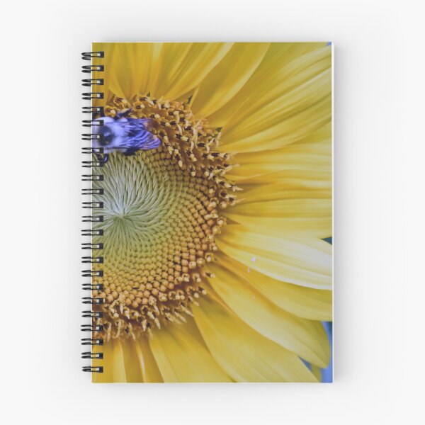 Item preview, The Sunflower and the Bee designed and sold by Maureen Zaharie.