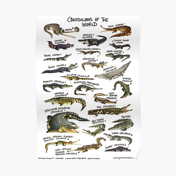 Crocodilians of the World Poster