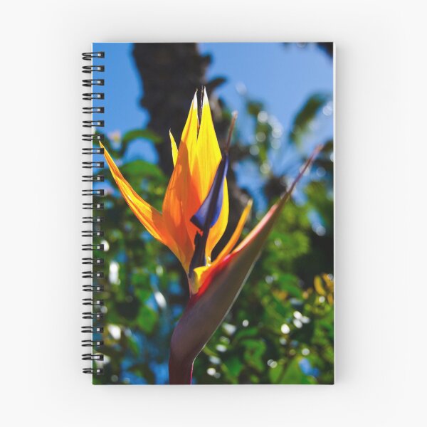 Item preview, Bird of Paradise II designed and sold by AnkhaDesh.