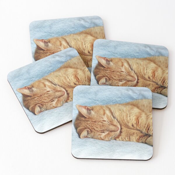 Item preview, Sleepy Kitty designed and sold by Frankie Cat Photography.