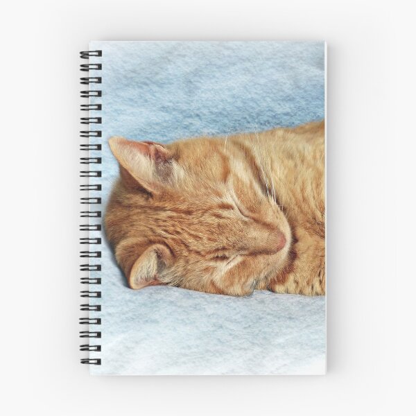 Item preview, Sleepy Kitty designed and sold by Frankie Cat Photography.