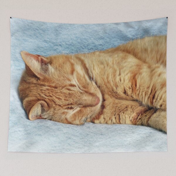 Item preview, Sleepy Kitty designed and sold by Frankie Cat Photography.