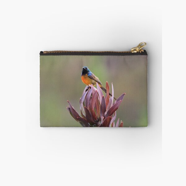 Item preview, Orange- breasted Sunbird designed and sold by Chantelle Benade.