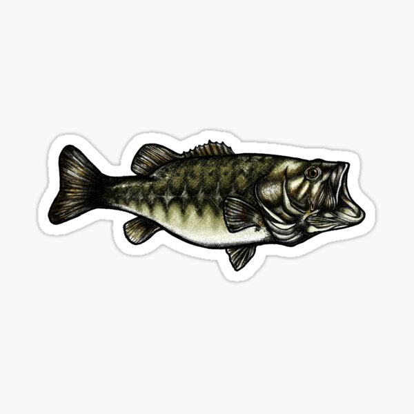 Woodcut Smallmouth Bass Sticker