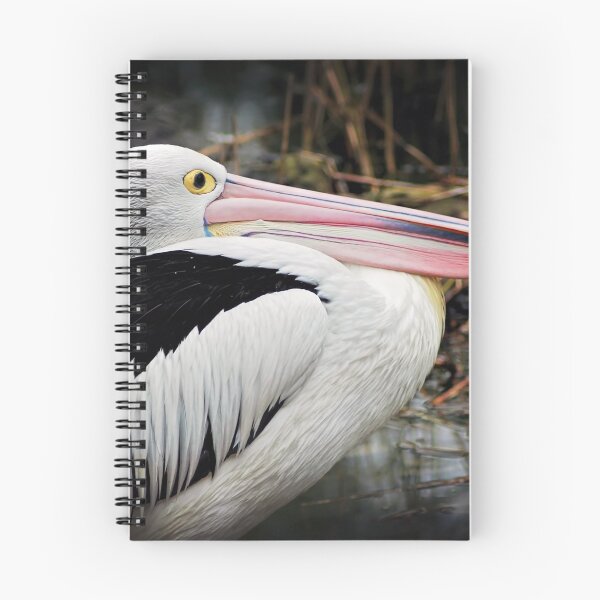 Item preview, Pelican designed and sold by Melissa Dickson.