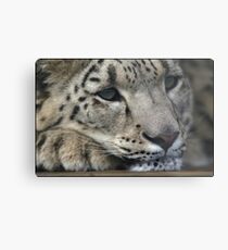 Bored, bored, bored, bored...BORED!!! Metal Print