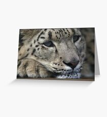 Bored, bored, bored, bored...BORED!!! Greeting Card