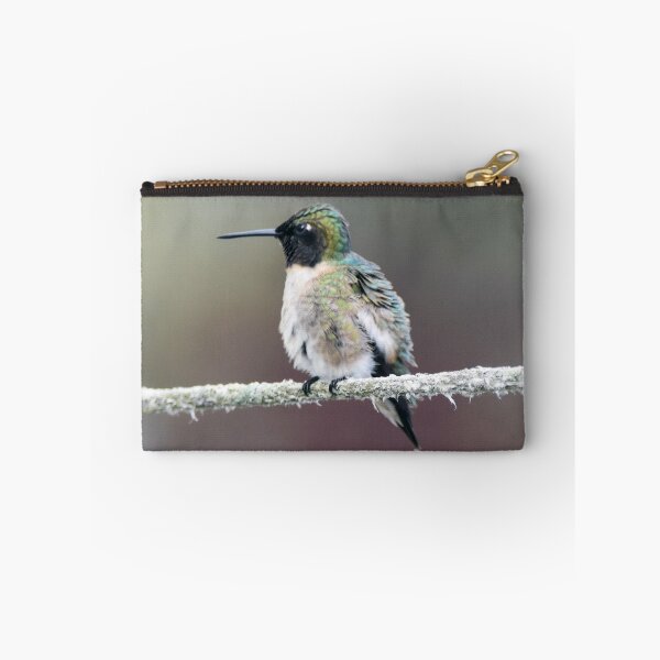 Item preview, Hemingway the Humming Bird designed and sold by Maureen Zaharie.