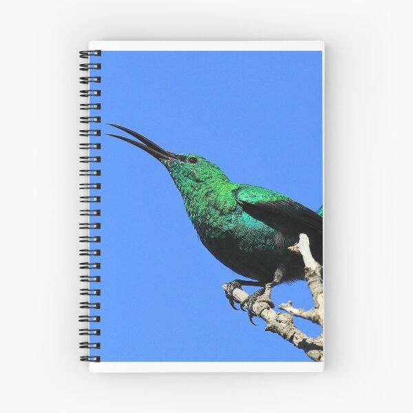 Item preview, Malachite Sunbird Showing off designed and sold by Chantelle Benade.