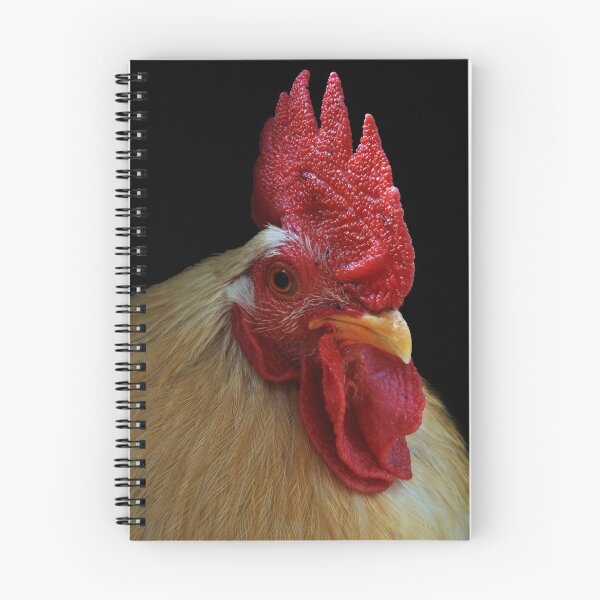 Item preview, Portrait of  Eggbert Cockalorum designed and sold by Yampimon.