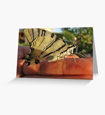 This beauty is in my hand!!! Greeting Card
