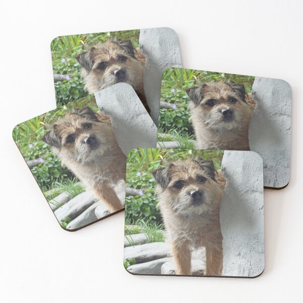 Item preview, Scruffy designed and sold by Yampimon.