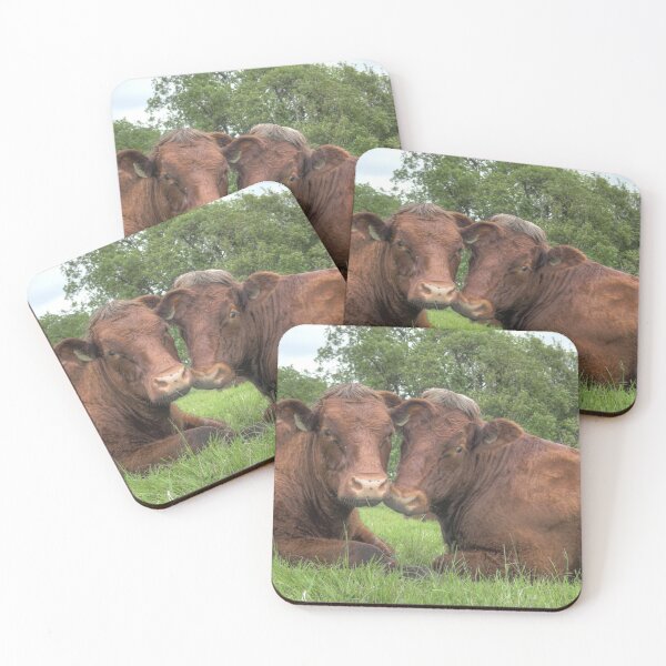 Item preview, Two Rare breed cows designed and sold by explorephotos.
