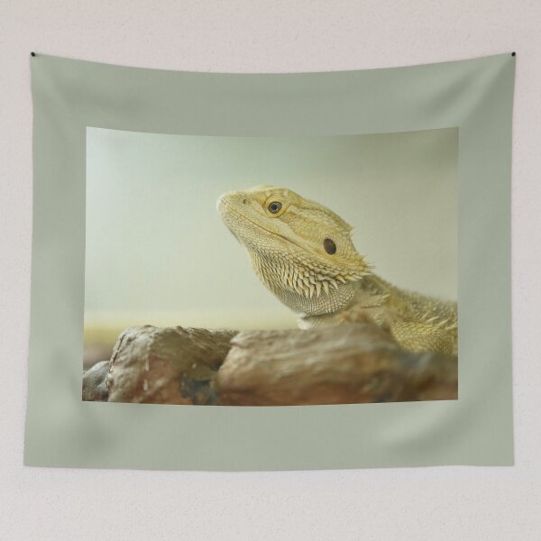 Item preview, Central Bearded Dragon designed and sold by imaginethis.