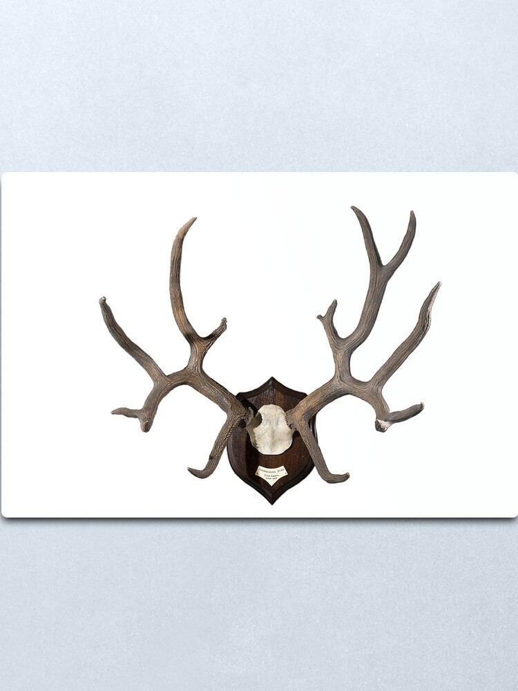 metal deer antlers