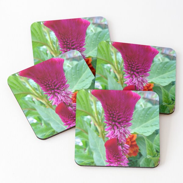 Item preview, Celosia designed and sold by Ana Belaj.