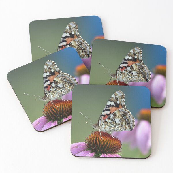 Item preview, Butterfly and Echinacea designed and sold by Maureen Zaharie.