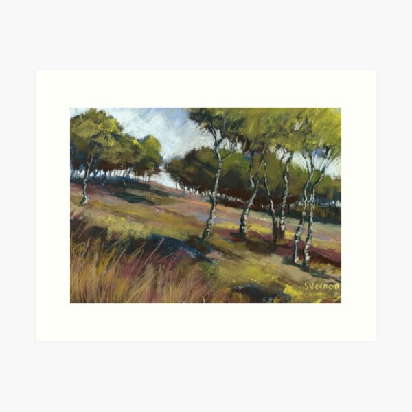Birch Trees, Hathersage Moor Art Print