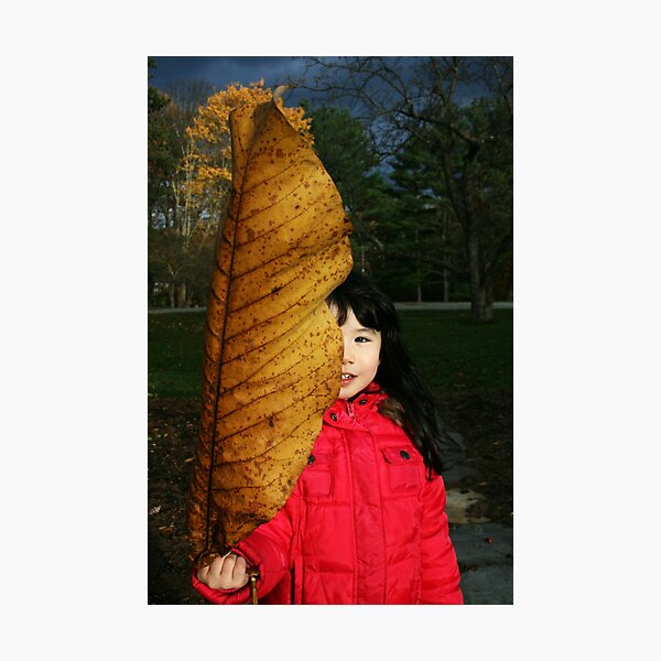 The Big Leaf Photographic Print