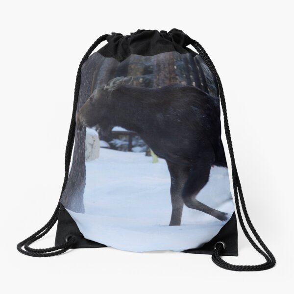 The Winter Moose Drawstring Bag