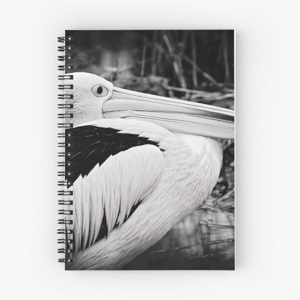 Item preview, Focused designed and sold by Melissa Dickson.