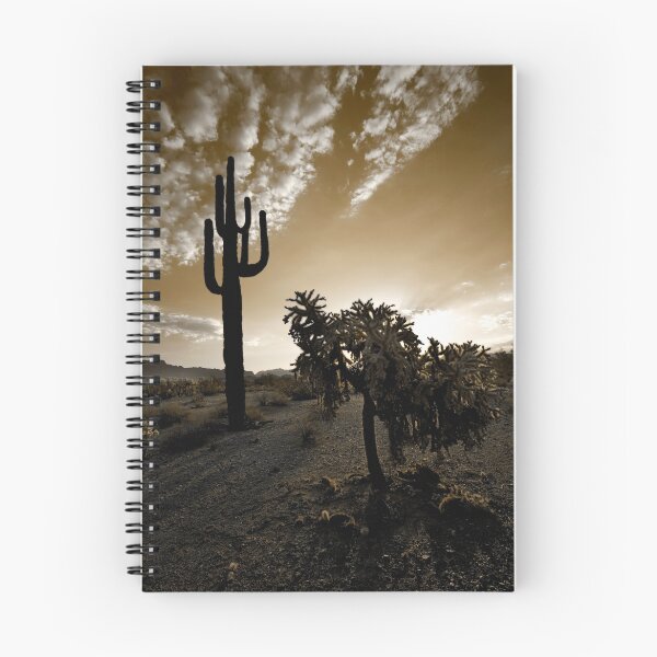 Item preview, The Sonoran in Sepia designed and sold by Sue  Cullumber.