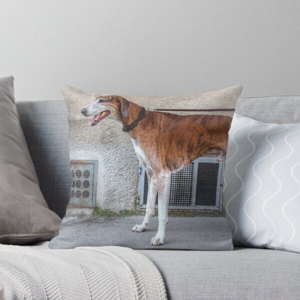 Item preview, Brindle Greyhound designed and sold by Mythos57.