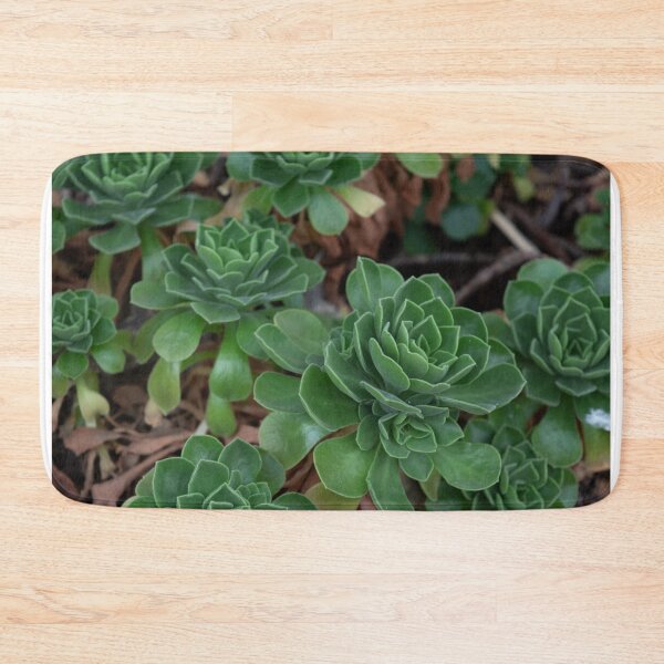 Item preview, succulent flowers designed and sold by TeresaYoung9.