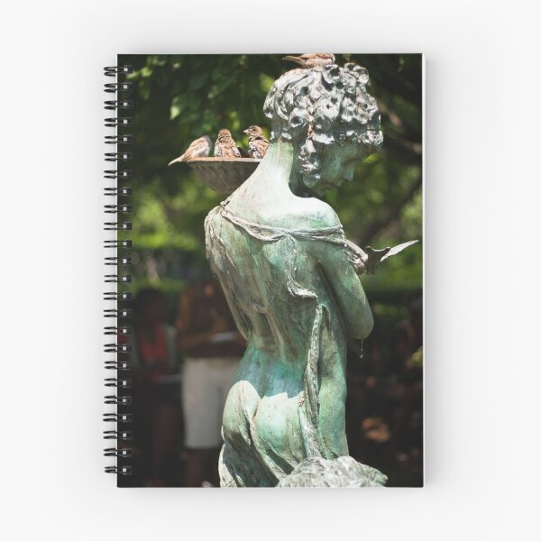 Item preview, Birds at Burnett Fountain designed and sold by Through the Eyes of A Lotus.