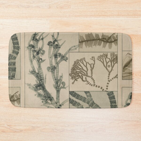 Item preview, Patterns In Nature designed and sold by BlueSpecsStudio.