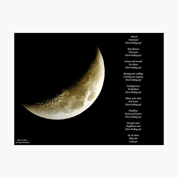 Look up! Original Poem & Photo Photographic Print