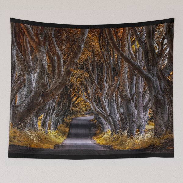 Item preview, Pretty autumn morning at Dark Hedges designed and sold by JBlaminsky.