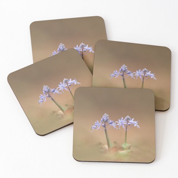 Item preview, Winter blooms designed and sold by miradorpictures.