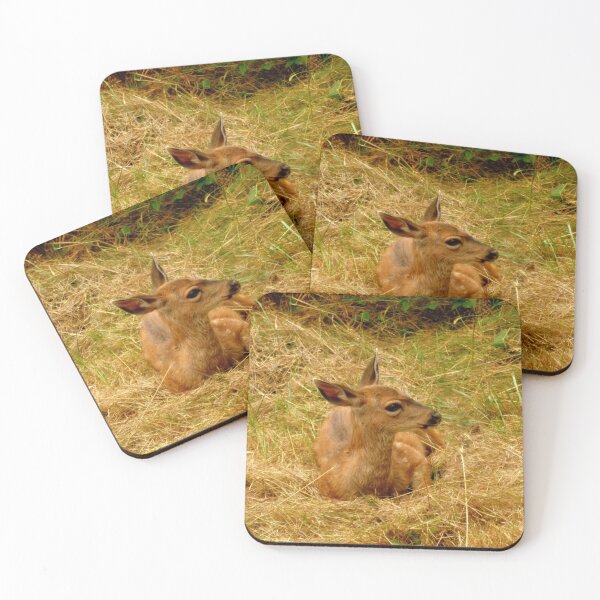 Item preview, Little deer still with spots! designed and sold by Elaine Bawden.