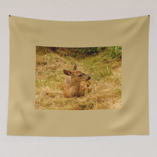 Item preview, Little deer still with spots! designed and sold by Elaine Bawden.