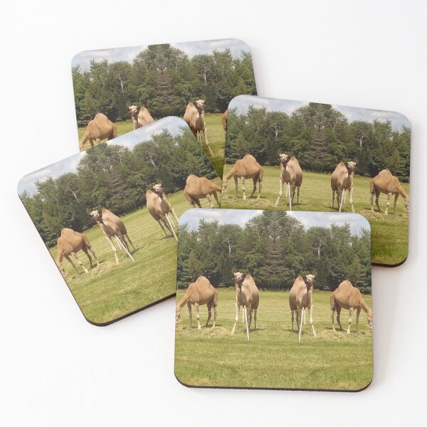 Item preview, Camels designed and sold by BellsPainting.