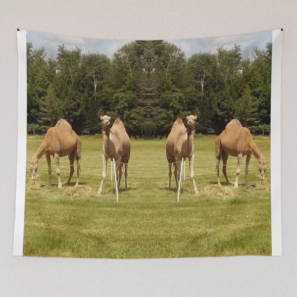 Item preview, Camels designed and sold by BellsPainting.