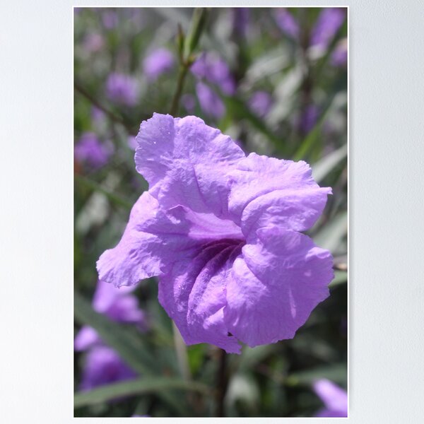 Item preview, Purple Fiji Flower designed and sold by Bami.