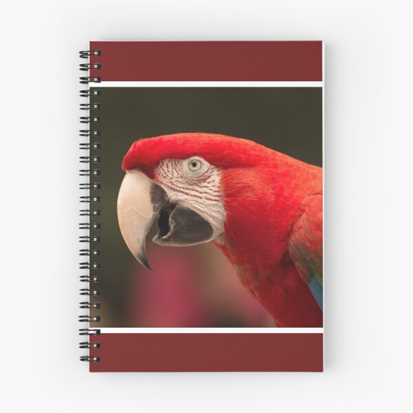 Item preview, Red Macaw designed and sold by LizardSpirit.