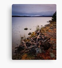 Untitled, Lochindorb Canvas Print