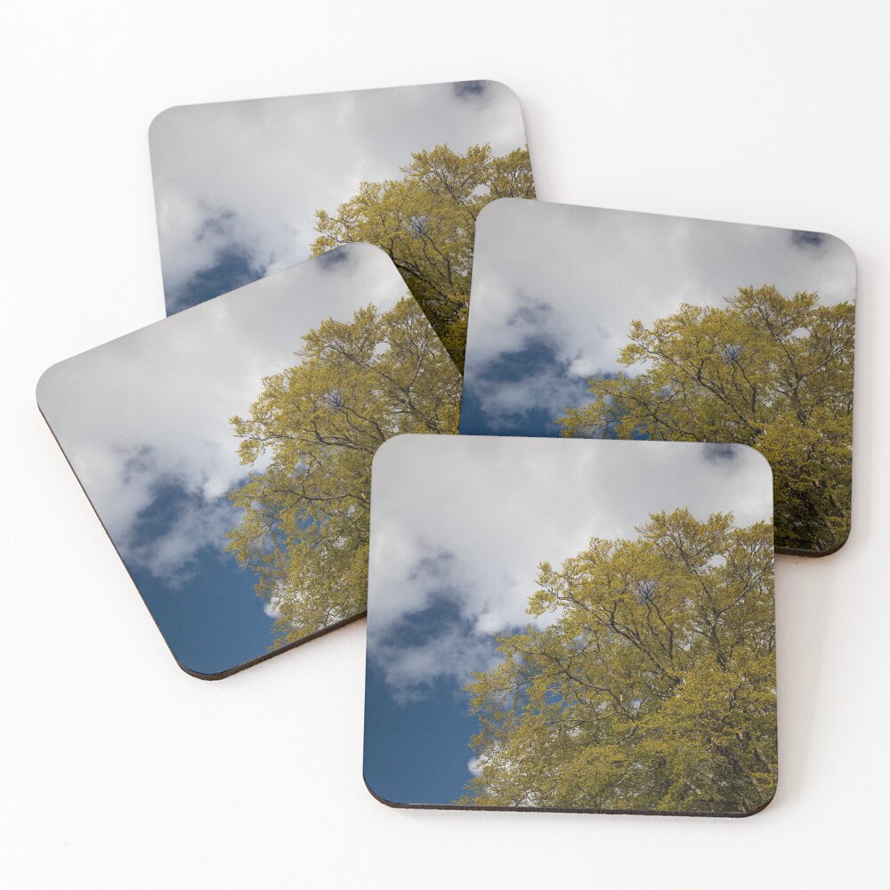 Item preview, Coasters (Set of 4) designed and sold by codaimages.