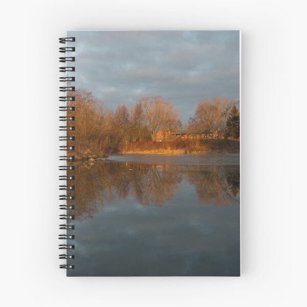 Item preview, Of Trees and Mirrors - Lake Ontario, Toronto, Canada designed and sold by Georgia Mizuleva.