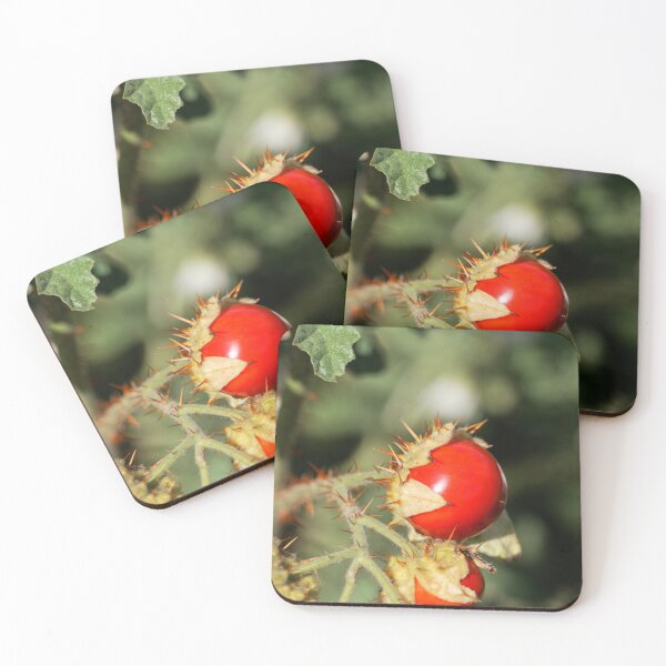 Item preview, Fruit of a sticky nightshade plant, Solanum sisymbriifolium designed and sold by Zosimus.