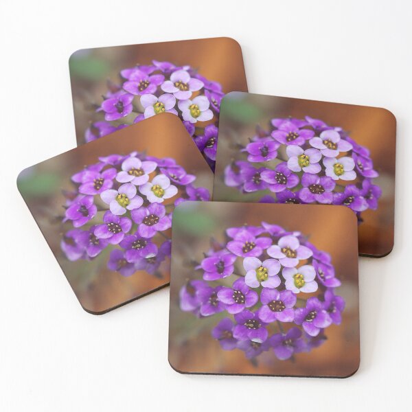 Item preview, Sweet Alyssum designed and sold by pairlee.