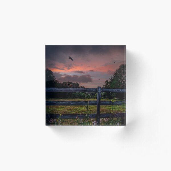 The View from the Studio by Janene Bouck 2019 Acrylic Block